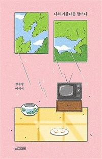 나의 아름다운 할머니 (커버이미지)