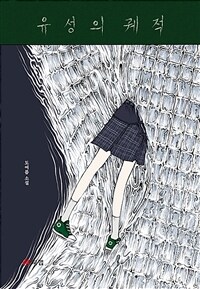 유성의 궤적 (커버이미지)