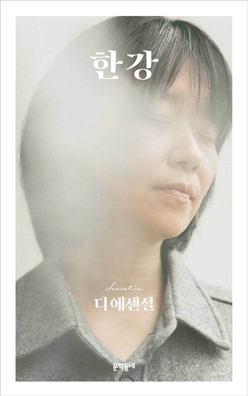 디 에센셜 한강 (무선 보급판) (커버이미지)