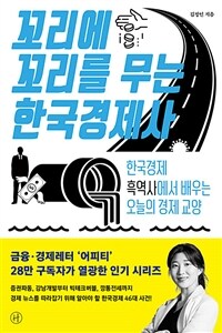 꼬리에 꼬리를 무는 한국경제사 - 한국경제 흑역사에서 배우는 오늘의 경제 교양 (커버이미지)