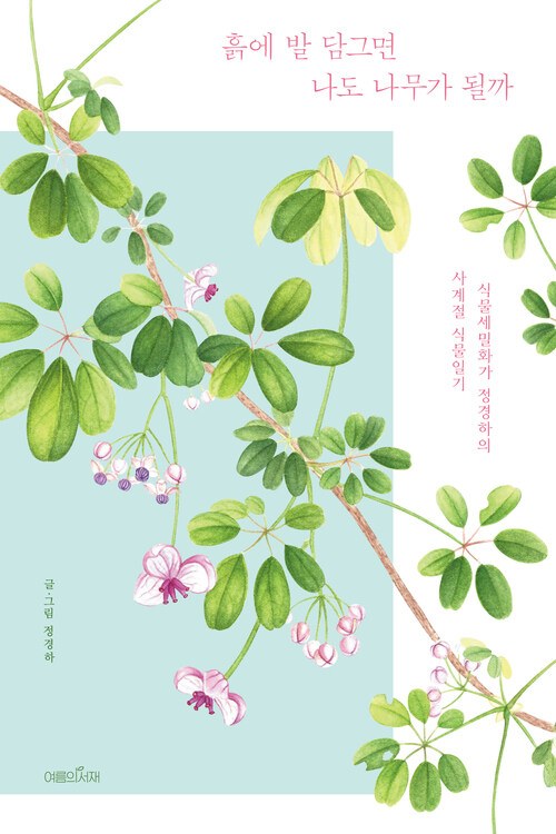 흙에 발 담그면 나도 나무가 될까 - 식물세밀화가 정경하의 사계절 식물일기 (커버이미지)