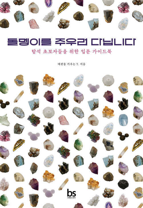 돌멩이를 주우러 다닙니다 - 탐석 초보자들을 위한 입문 가이드북 (커버이미지)