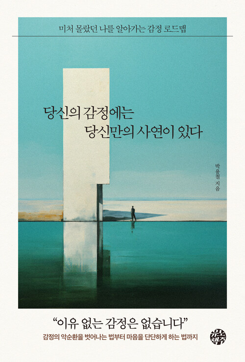 당신의 감정에는 당신만의 사연이 있다 - 미처 몰랐던 나를 알아가는 감정 로드맵 (커버이미지)