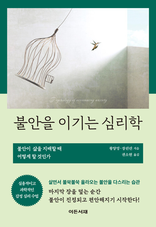 불안을 이기는 심리학 - 불안이 삶을 지배할 때 어떻게 할 것인가 (커버이미지)