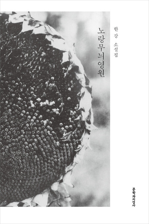 노랑무늬영원 (개정판) (커버이미지)
