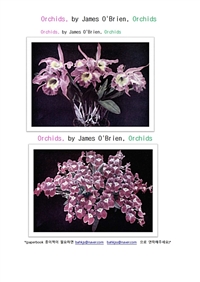 서양난 난초 (Orchids, by James O'Brien) (커버이미지)