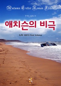 애치슨의 비극 - 뉴욕 10013 First Volume (커버이미지)
