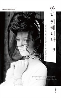 안나 카레니나 3 (한글판) (커버이미지)