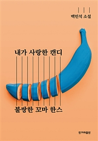 내가 사랑한 캔디 / 불쌍한 꼬마 한스 - 합본 (커버이미지)